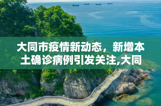 大同市疫情新动态，新增本土确诊病例引发关注,大同新增本土确诊