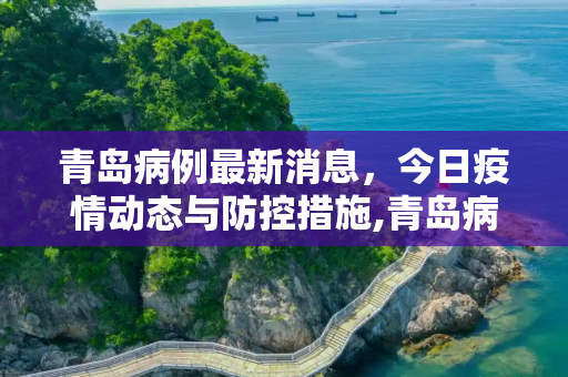 青岛病例最新消息，今日疫情动态与防控措施,青岛病例最新消息今天