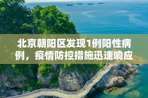 北京朝阳区发现1例阳性病例，疫情防控措施迅速响应,北京朝阳新增1例阳性