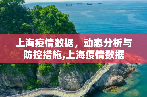 上海疫情数据，动态分析与防控措施,上海疫情数据