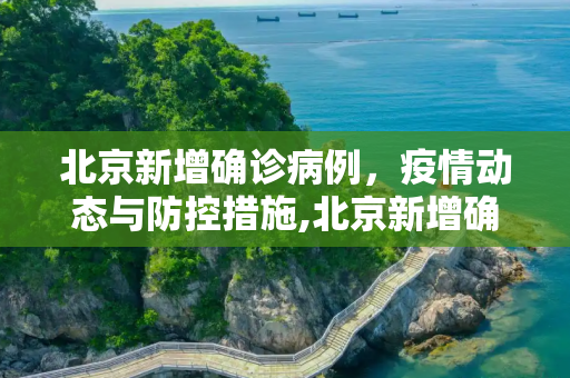 北京新增确诊病例，疫情动态与防控措施,北京新增确诊病例
