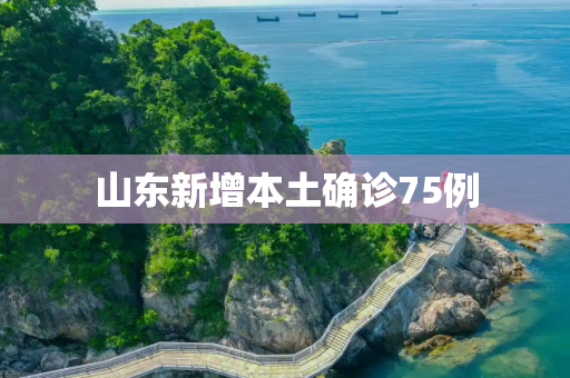 山东新增本土确诊75例