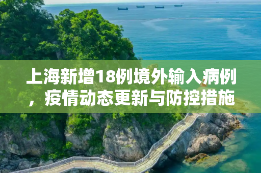上海新增18例境外输入病例，疫情动态更新与防控措施,上海新增18例境外输入病例的简单介绍