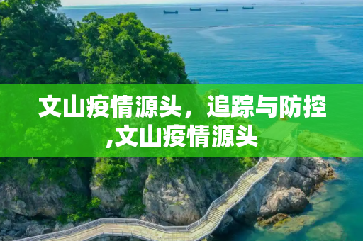 文山疫情源头，追踪与防控,文山疫情源头