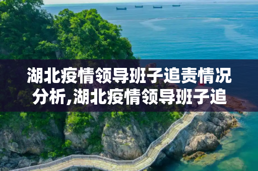 湖北疫情领导班子追责情况分析,湖北疫情领导班子追责情况分析
