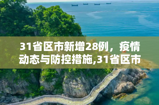 31省区市新增28例，疫情动态与防控措施,31省区市增28例