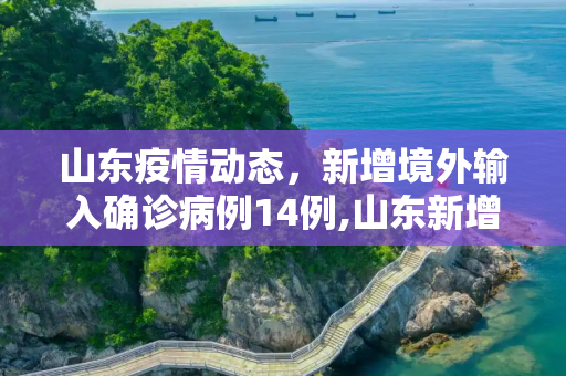 山东疫情动态，新增境外输入确诊病例14例,山东新增境外输入确诊14例