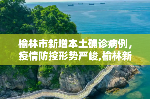榆林市新增本土确诊病例，疫情防控形势严峻,榆林新增本土确诊