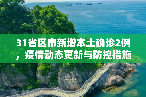 31省区市新增本土确诊2例，疫情动态更新与防控措施,31省区市新增本土确诊2例