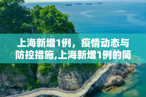 上海新增1例，疫情动态与防控措施,上海新增1例的简单介绍