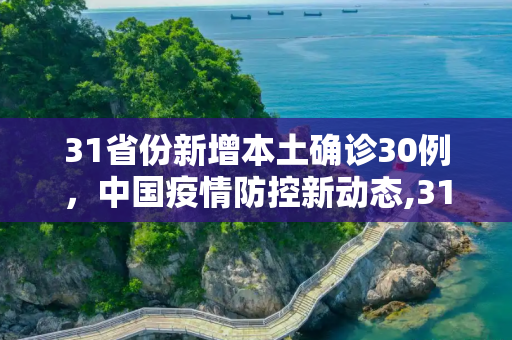 31省份新增本土确诊30例，中国疫情防控新动态,31省份新增本土确诊30例