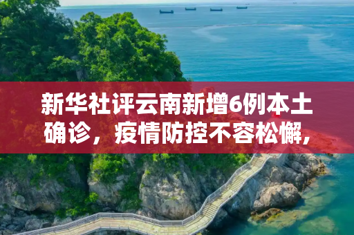 新华社评云南新增6例本土确诊，疫情防控不容松懈,新华社评云南新增6例本土确诊