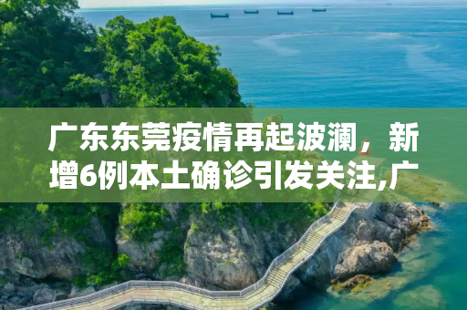 广东东莞疫情再起波澜，新增6例本土确诊引发关注,广东东莞新增6例本土确诊