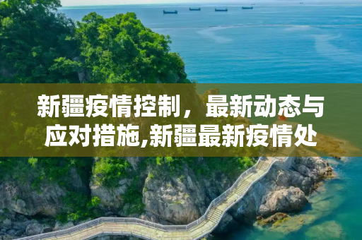 新疆疫情控制，最新动态与应对措施,新疆最新疫情处理情况