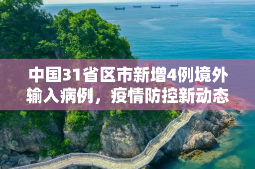 中国31省区市新增4例境外输入病例，疫情防控新动态,31省增4例境外输入