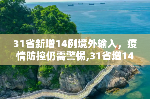 31省新增14例境外输入，疫情防控仍需警惕,31省增14例境外输入