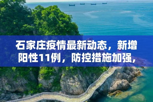 石家庄疫情最新动态，新增阳性11例，防控措施加强,石家庄新增阳性11例