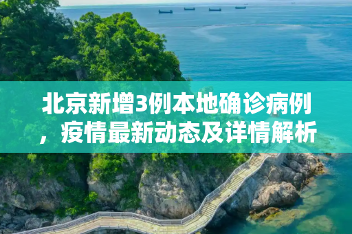 北京新增3例本地确诊病例，疫情最新动态及详情解析,北京新增3例本地确诊 详情公布