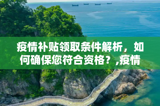 疫情补贴领取条件解析，如何确保您符合资格？,疫情补贴领取条件解析
