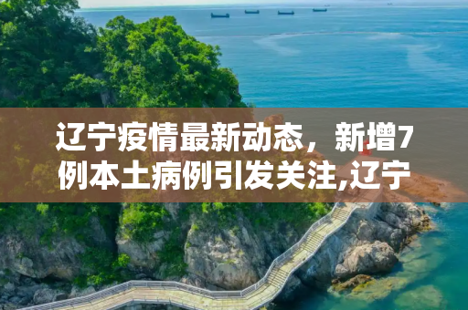 辽宁疫情最新动态，新增7例本土病例引发关注,辽宁新增7例本土病例
