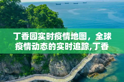 丁香园实时疫情地图，全球疫情动态的实时追踪,丁香园实时疫情地图