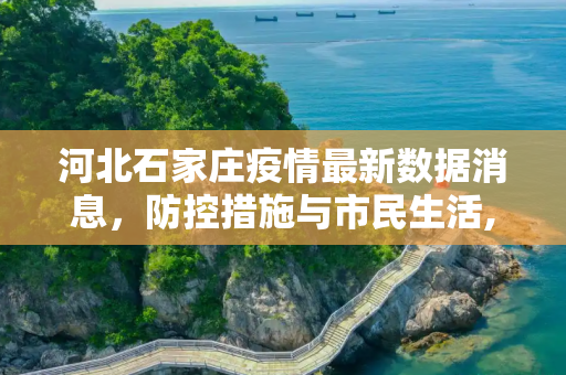 河北石家庄疫情最新数据消息，防控措施与市民生活,河北石家庄疫情最新数据消息