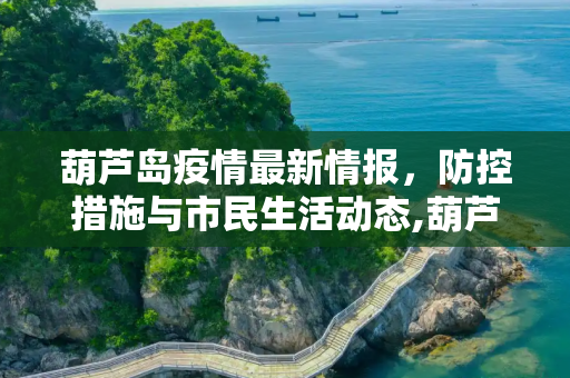 葫芦岛疫情最新情报，防控措施与市民生活动态,葫芦岛疫情最新情报