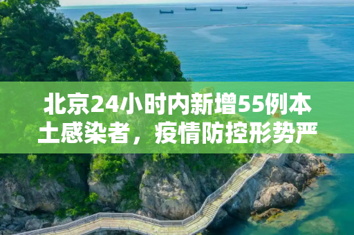 北京24小时内新增55例本土感染者，疫情防控形势严峻,北京24小时内新增55例本土感染者