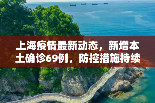 上海疫情最新动态，新增本土确诊69例，防控措施持续加强,上海新增本土确诊69例