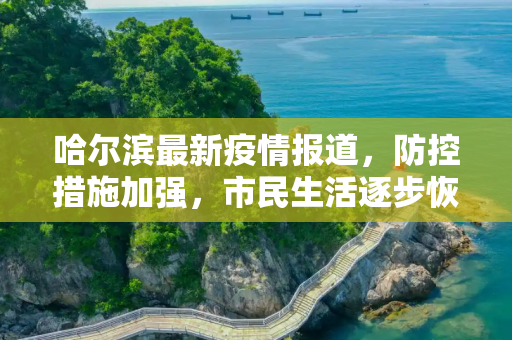 哈尔滨最新疫情报道，防控措施加强，市民生活逐步恢复,哈尔滨最新疫情报道
