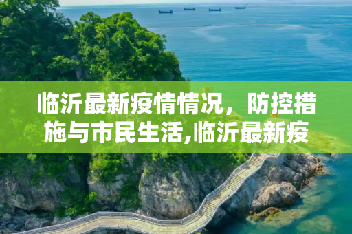 临沂最新疫情情况，防控措施与市民生活,临沂最新疫情情况