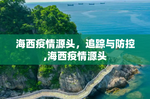 海西疫情源头，追踪与防控,海西疫情源头