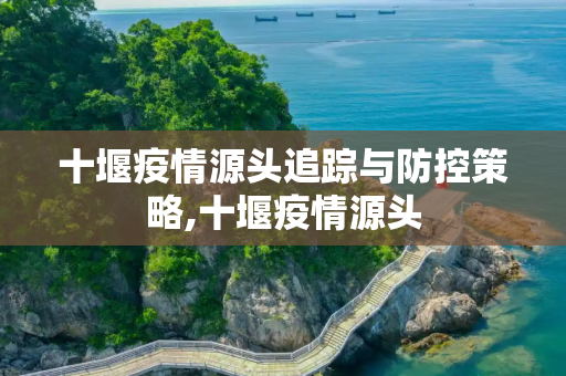 十堰疫情源头追踪与防控策略,十堰疫情源头