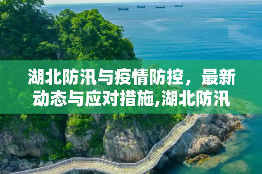 湖北防汛与疫情防控，最新动态与应对措施,湖北防汛最新疫情