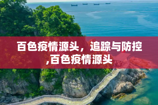 百色疫情源头，追踪与防控,百色疫情源头
