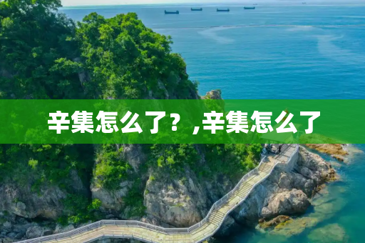 辛集怎么了？,辛集怎么了