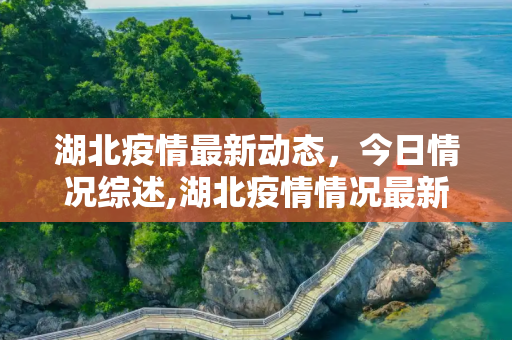 湖北疫情最新动态，今日情况综述,湖北疫情情况最新今天