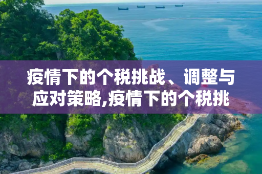 疫情下的个税挑战、调整与应对策略,疫情下的个税挑战、调整与应对策略