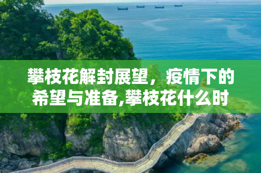 攀枝花解封展望，疫情下的希望与准备,攀枝花什么时候能解封