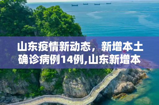 山东疫情新动态，新增本土确诊病例14例,山东新增本土确诊病例14例