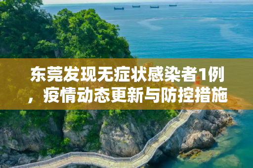 东莞发现无症状感染者1例，疫情动态更新与防控措施,东莞发现无症状1例