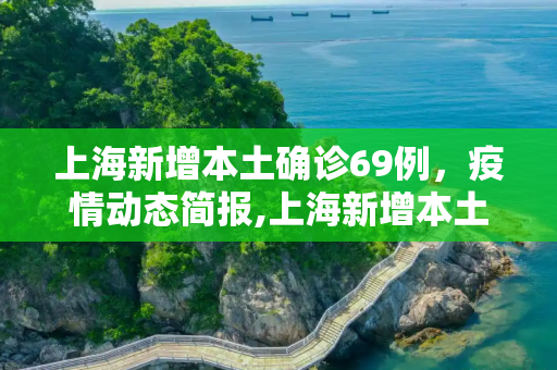 上海新增本土确诊69例，疫情动态简报,上海新增本土确诊69例的简单介绍