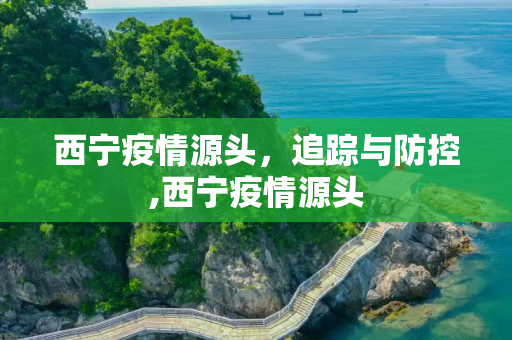 西宁疫情源头，追踪与防控,西宁疫情源头