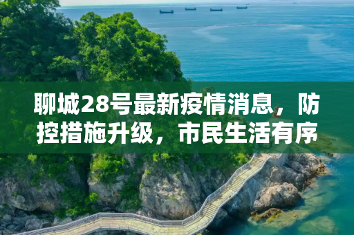 聊城28号最新疫情消息，防控措施升级，市民生活有序,聊城28号最新疫情消息