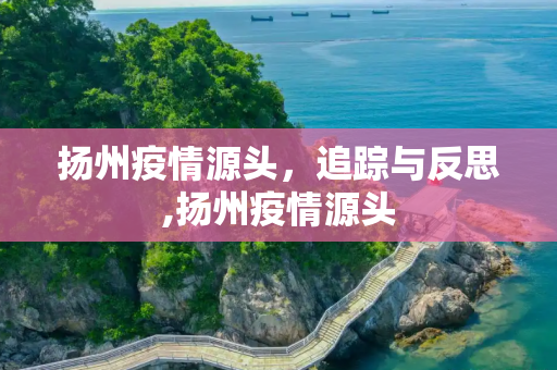 扬州疫情源头，追踪与反思,扬州疫情源头