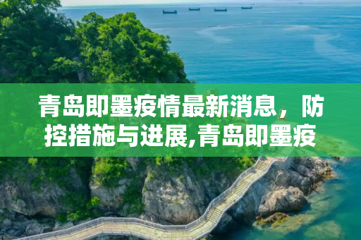 青岛即墨疫情最新消息，防控措施与进展,青岛即墨疫情最新消息