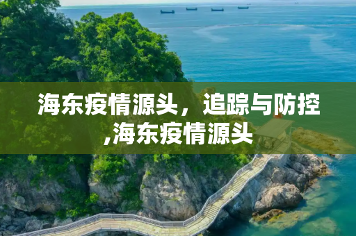 海东疫情源头，追踪与防控,海东疫情源头
