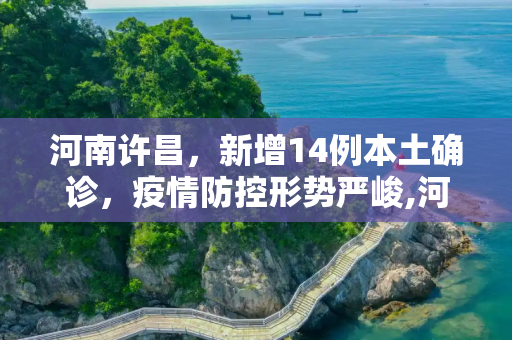 河南许昌，新增14例本土确诊，疫情防控形势严峻,河南许昌新增14例本土确诊