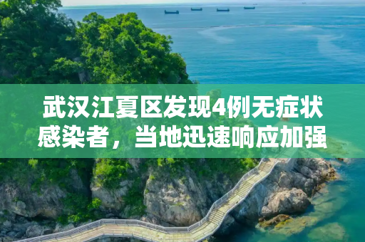 武汉江夏区发现4例无症状感染者，当地迅速响应加强防控,武汉江夏区发现4例无症状