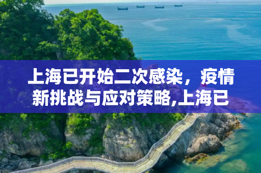 上海已开始二次感染，疫情新挑战与应对策略,上海已开始二次感染